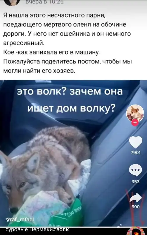 Картинки и мемы для настроения