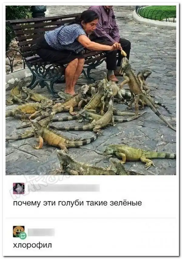 Картинки и мемы для настроения