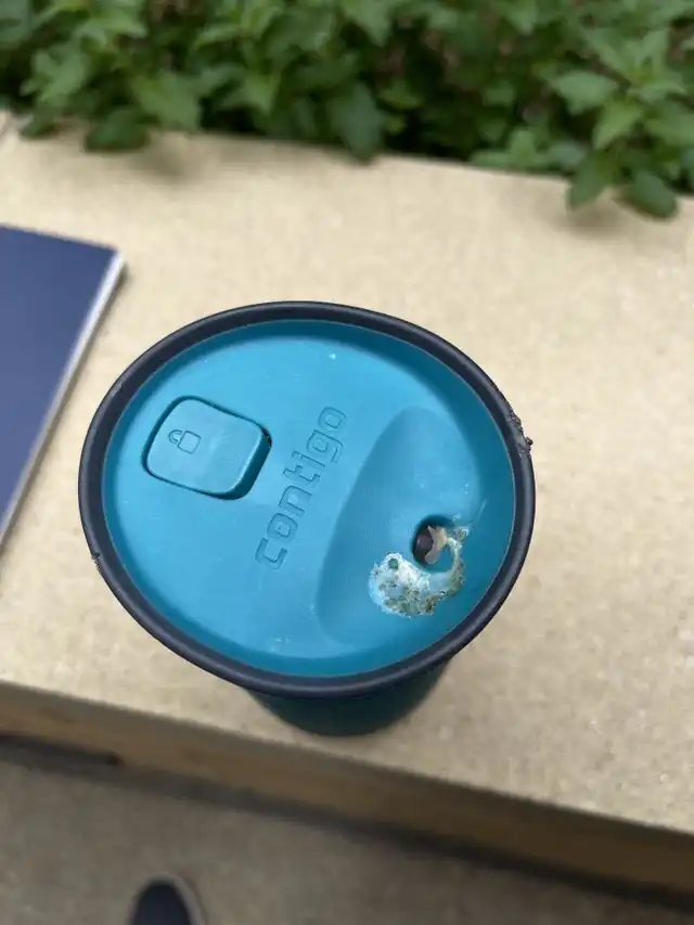 16 неприятностей, которые нагрянули откуда не ждали