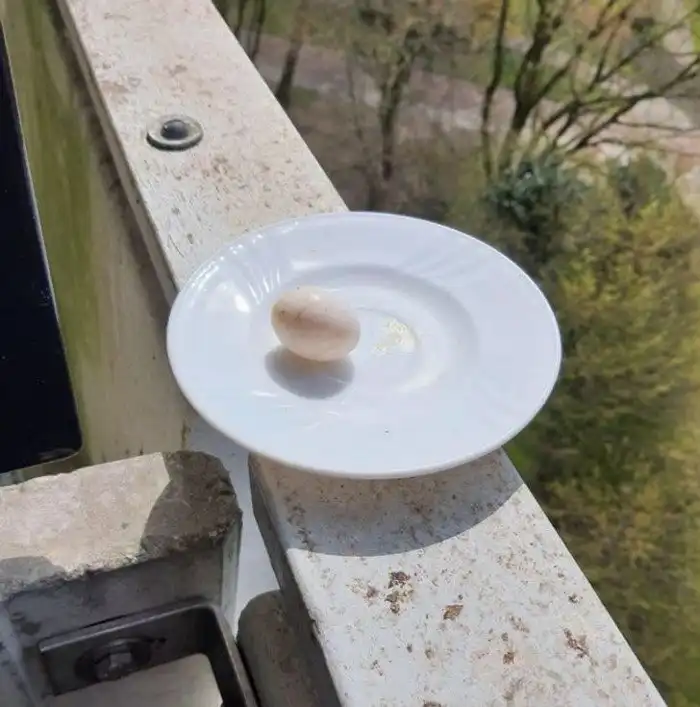 20 человек, которые увидели такое, что аж присвистнули от неожиданности и быстренько сделали фото