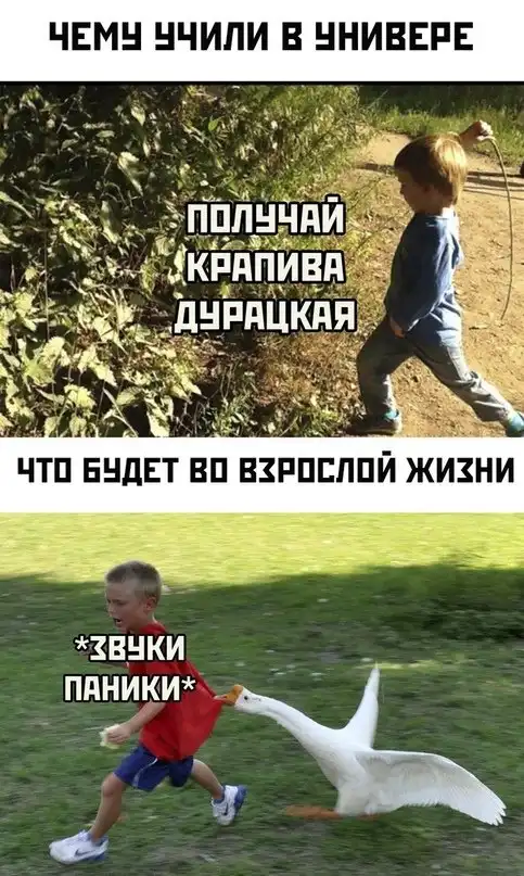 Картинки и мемы для настроения