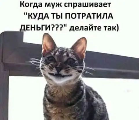 Баянисто-небаянистый юмор