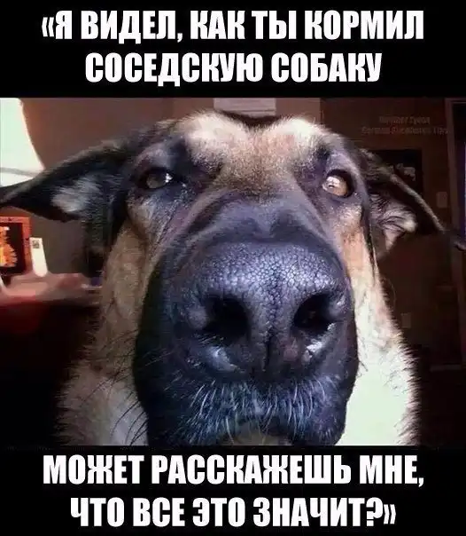 Так себе картинки