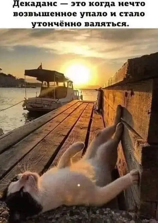 Смешные комментарии из соц.сетей