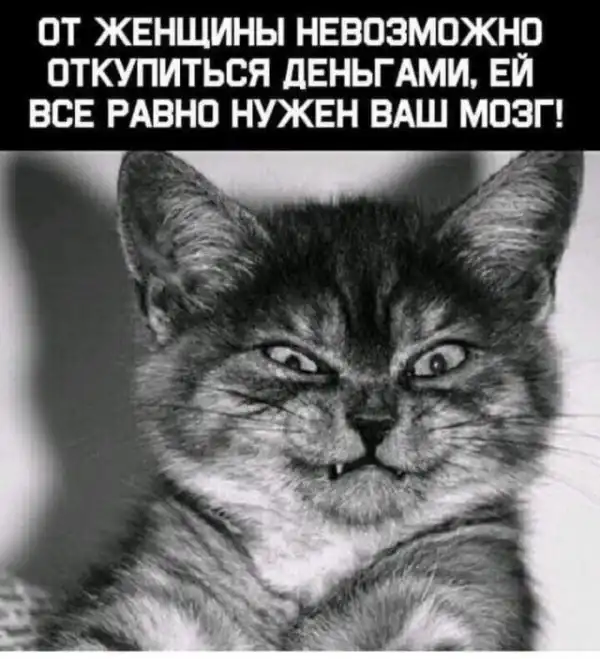 Картинки и мемы для настроения