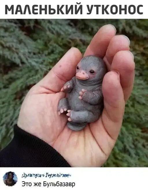 Скрины из соцсетей