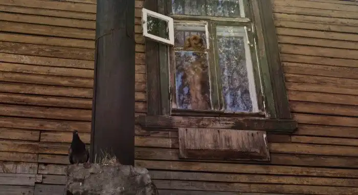 Родная провинция