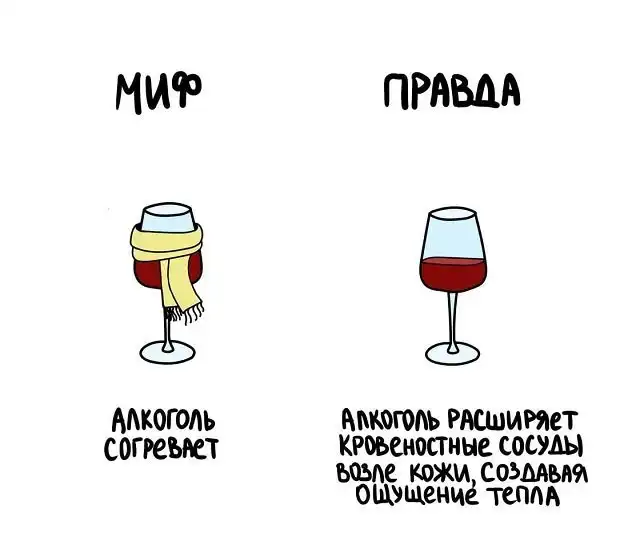 "Не перепутай!": забавные подсказки о вещах и понятиях, которые люди часто путают