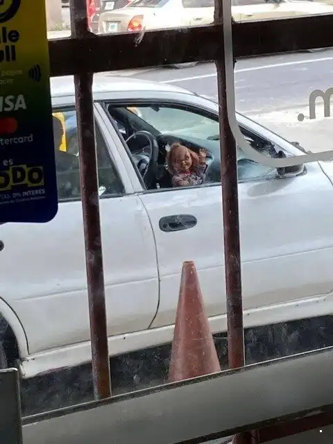 Автовсячина