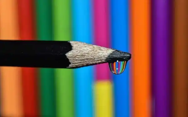 Мир через микроскоп: интересные макрофотографии