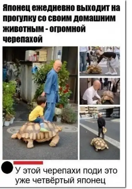 Картинки и мемы для настроения