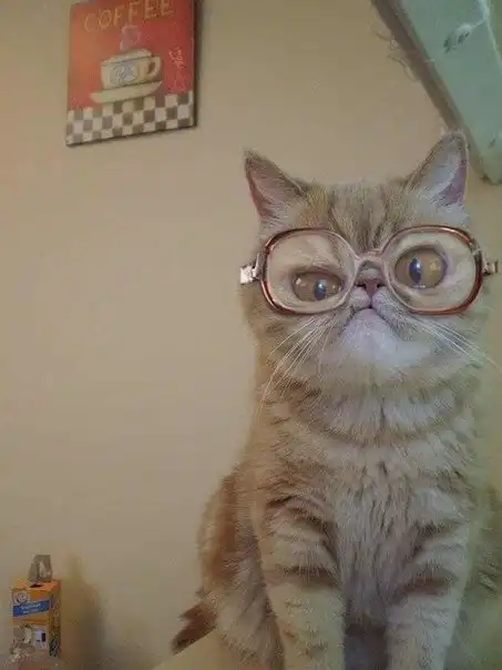 Так себе картинки