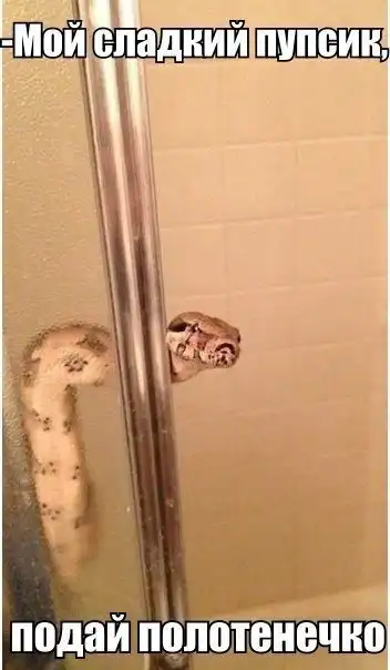 Так себе картинки