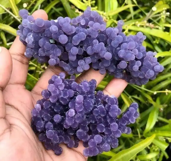 Предметы, которые на самом деле совсем не те, за кого себя выдают