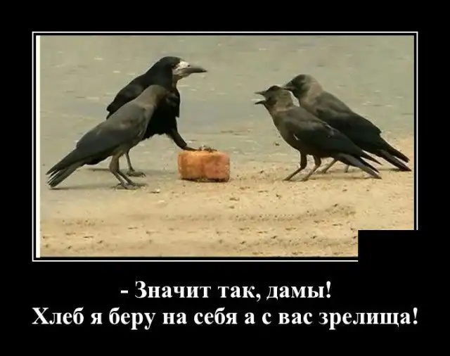 Демотиваторы