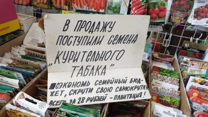 Тотальненько: жадность, перешедшая на новый уровень