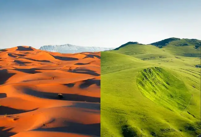 5 многообещающих профессий, которые появятся в ближайшем будущем