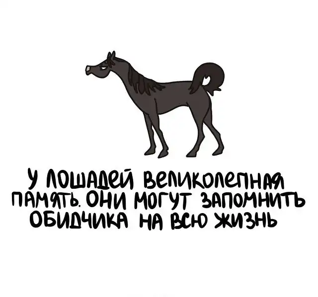 Интересные факты на все случаи жизни