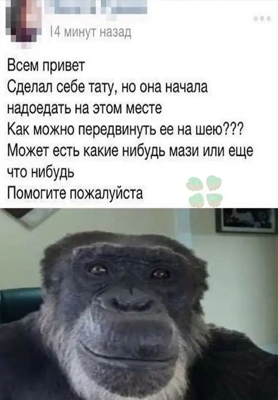 Картинки и мемы для настроения