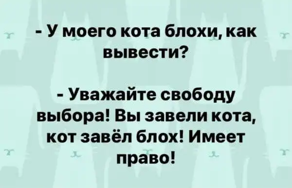 Юмор и прикольные картинки