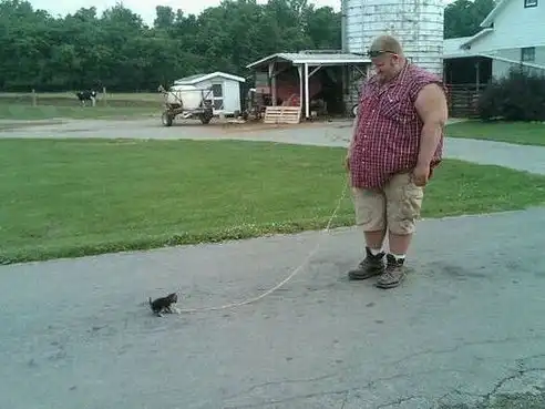 Так себе картинки