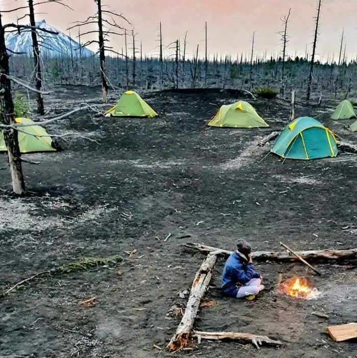 Туристы, прекратите фотографировать какахи — не смешно уже