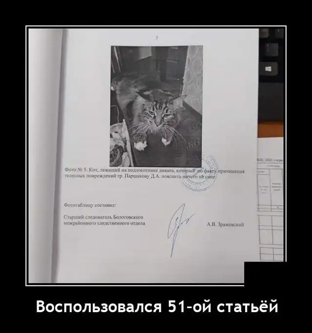 Демотиваторы