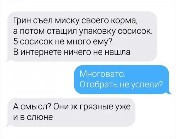 Девушка-ветеринар поделилась забавными переписками с ее клиентами