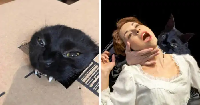 Смешные работы победителей битв фотошоперов