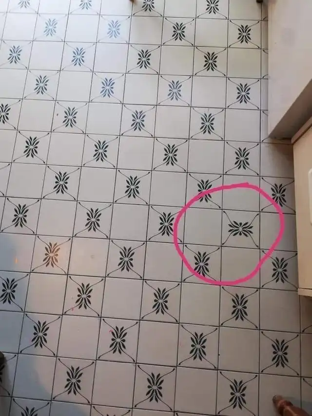 Человеческая лень беспредельна и безгранична