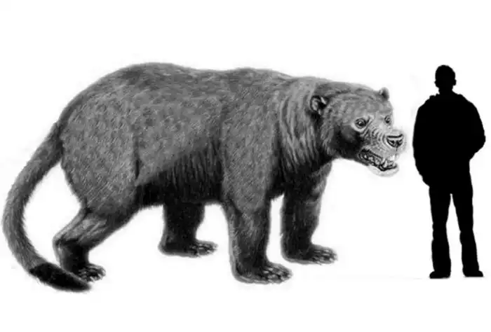 После динозавров млекопитающие быстро эволюционировали. Ученые нашли древнего зверя размером с кошку