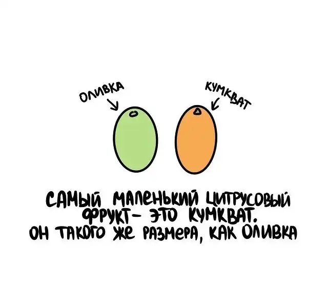 Подборка интересных фактов на все случаи жизни