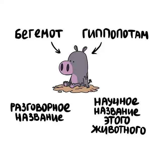 "Не перепутай!": забавные подсказки о вещах и понятиях, которые люди часто путают