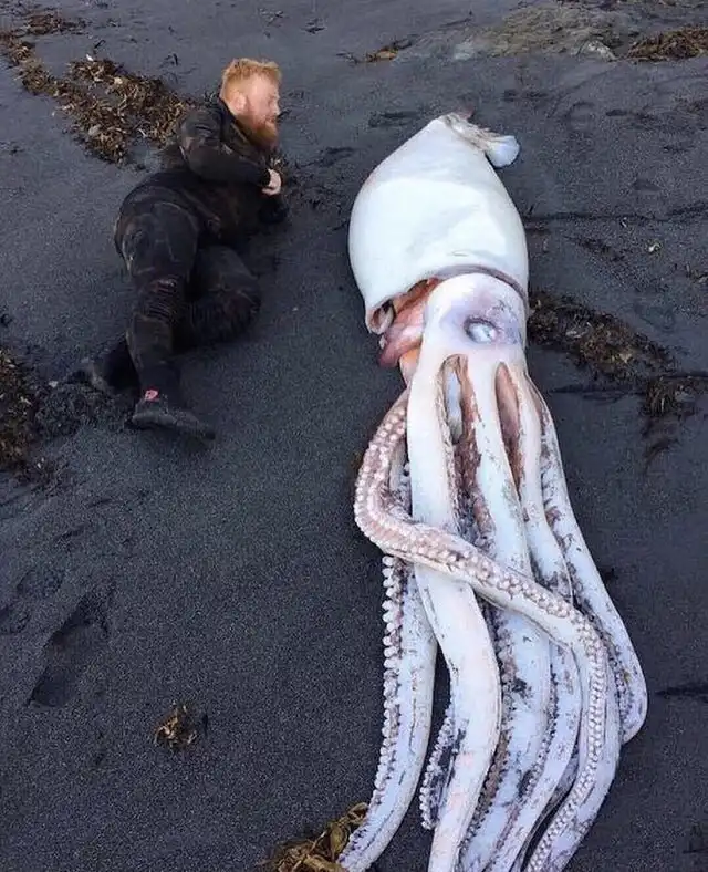 Как же огромны некоторые вещи по сравнению с человеком