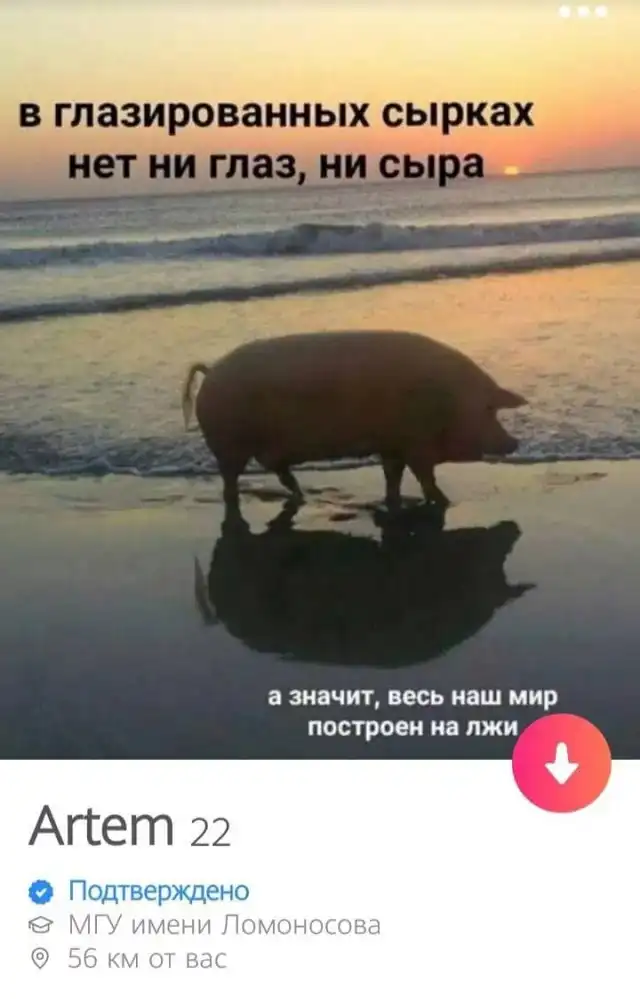 Забавные анкеты, которые публикуют одинокие люди на сайтах знакомств