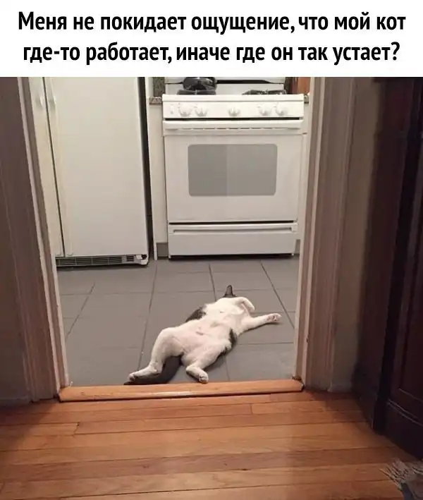 Картинки и мемы для настроения