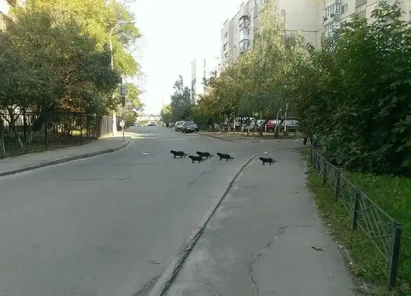 Так себе картинки