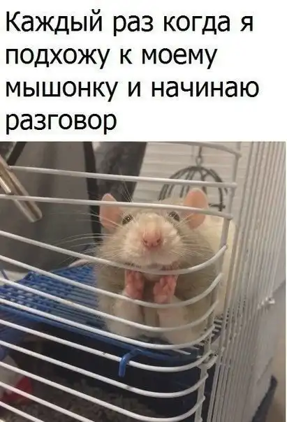 Картинки и мемы для настроения