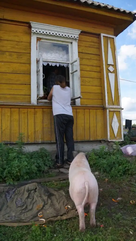 Атмосферные деревенские картинки