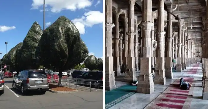 «Сбои в матрице» случается не только в виртуальном мире