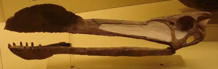 Тропеогнат: Размах крыльев в 8 метров! Резкий ящер и его способы кошмарить добычу