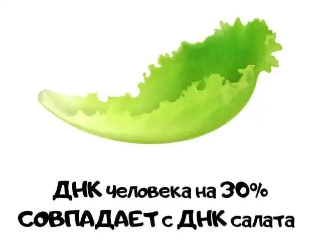 Интересные факты на все случаи жизни