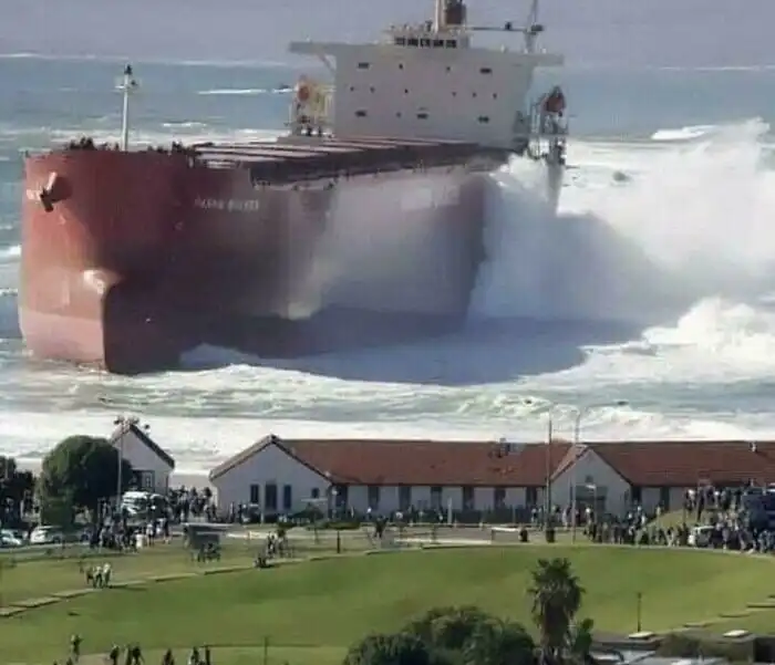 Осторожно, такие огромные штуки могут вызвать приступ мегалофобии