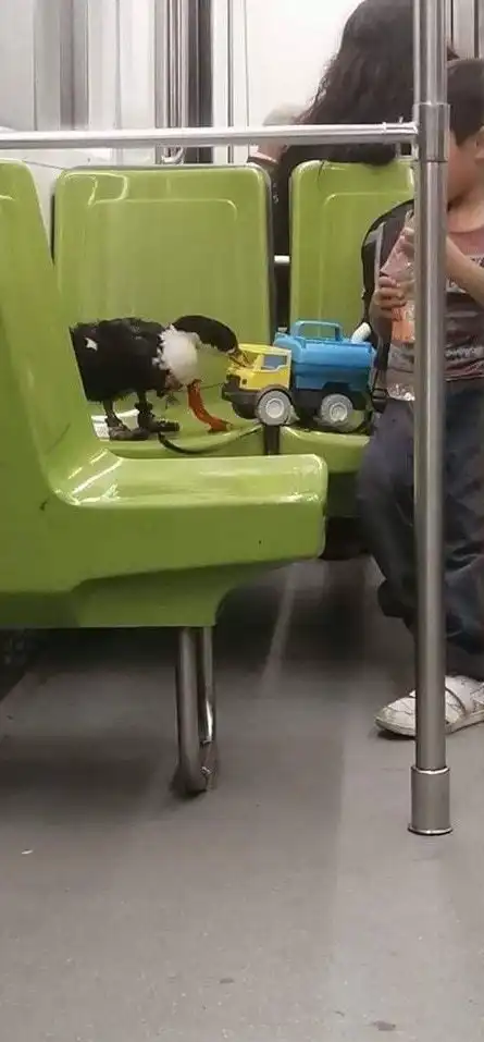 Необычные персонажи и ситуации в метро