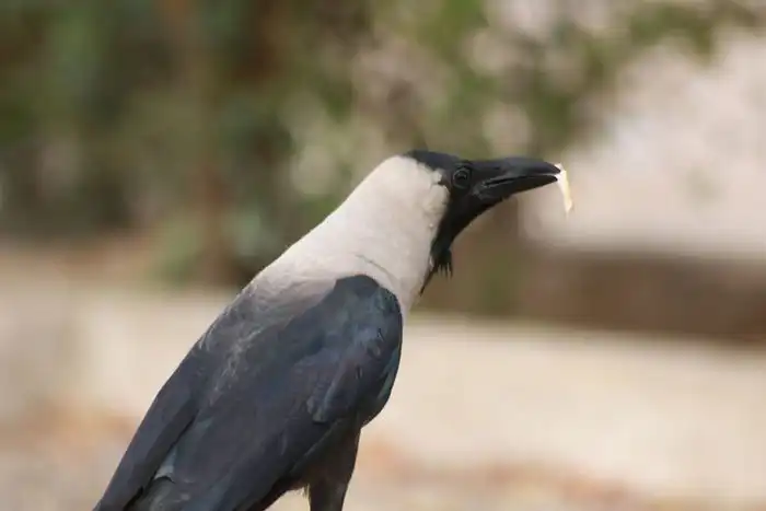 33 мрачных факта, о которых вы не сможете забыть