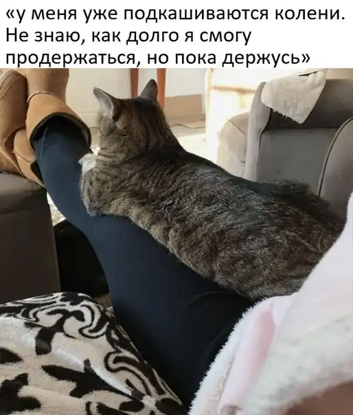 Картинки и мемы для настроения