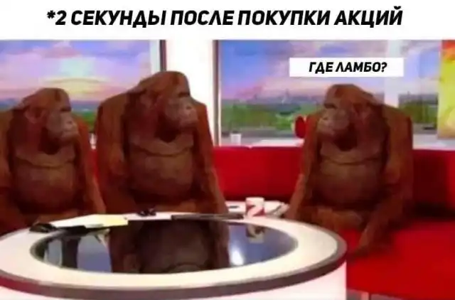 Шутки и мемы от инвесторов