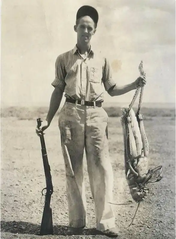 Гриб-кормилец. Термиты выращивают в Африке гигантские грибы, которые кормят целые семьи