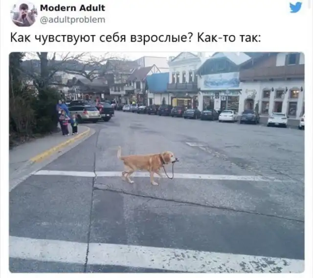 Шутки и мемы про взрослую жизнь