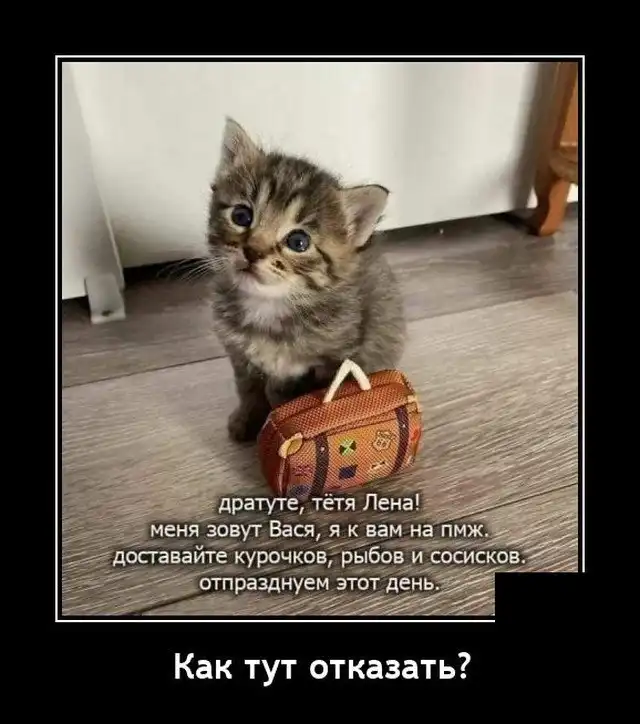 Демотиваторы